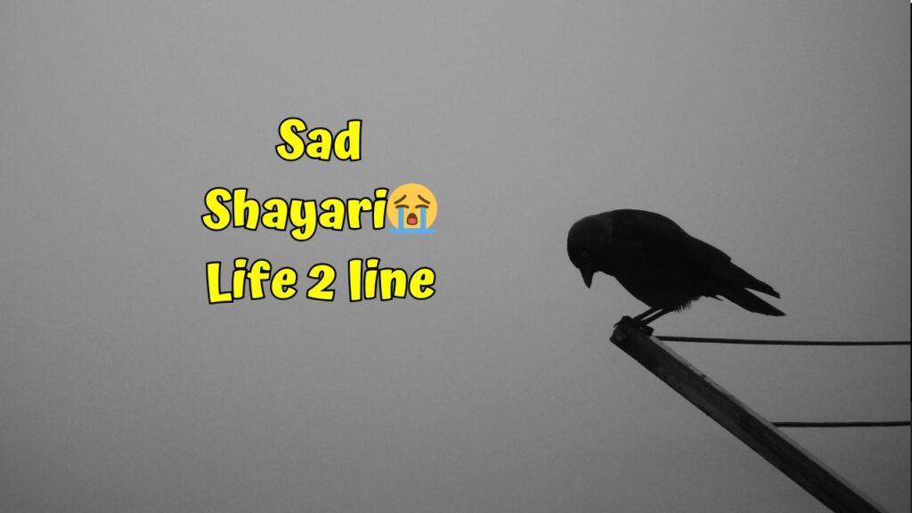 Sad Shayari😭 Life 2 line