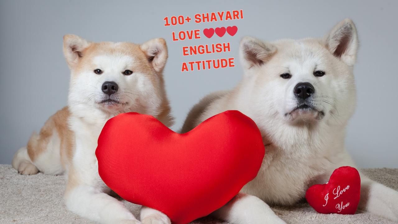 Shayari Love ❤❤❤ English Attitude