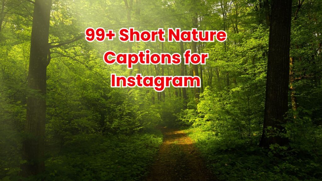 Short Nature Captions for Instagram