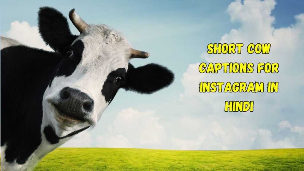 Short cow captions for instagram in hindi