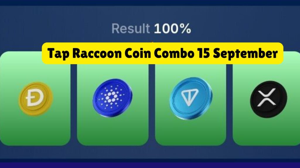 Tap Raccoon Coin Combo 15 September