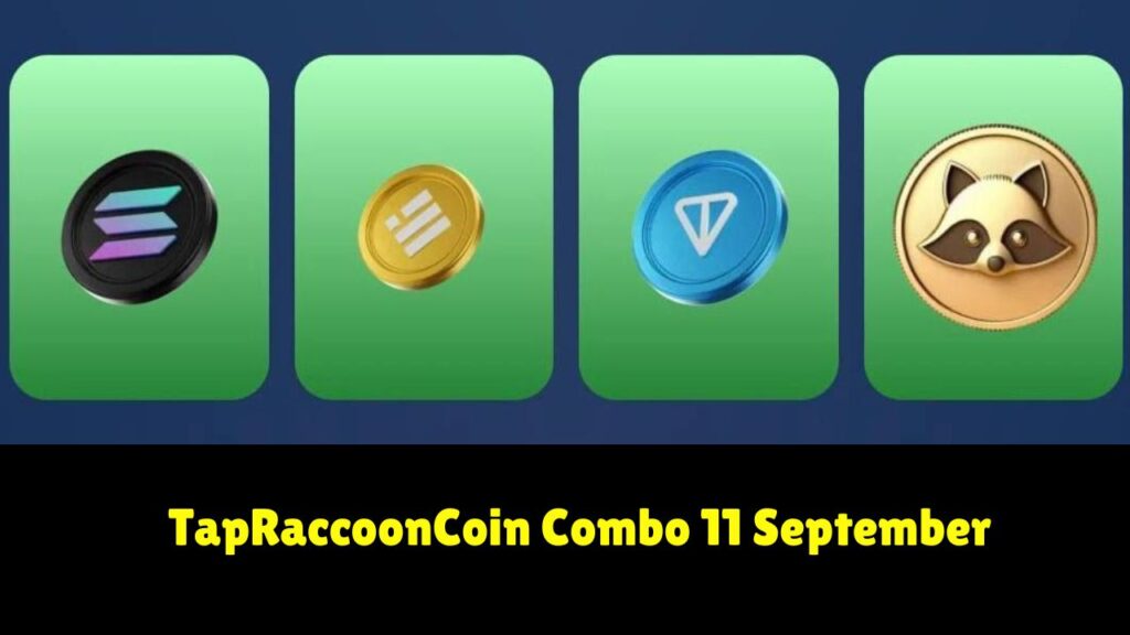 TapRaccoonCoin Combo 11 September