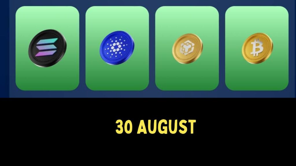 TapRaccoonCoin Combo 30 August