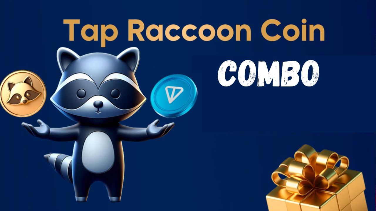 Today TapRaccoonCoin Combo