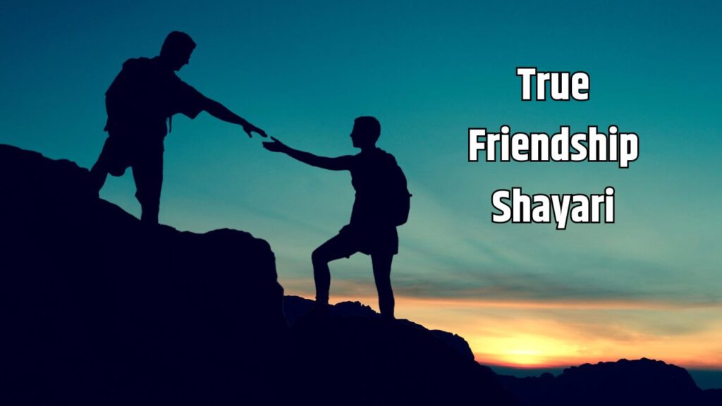 True Friendship Shayari