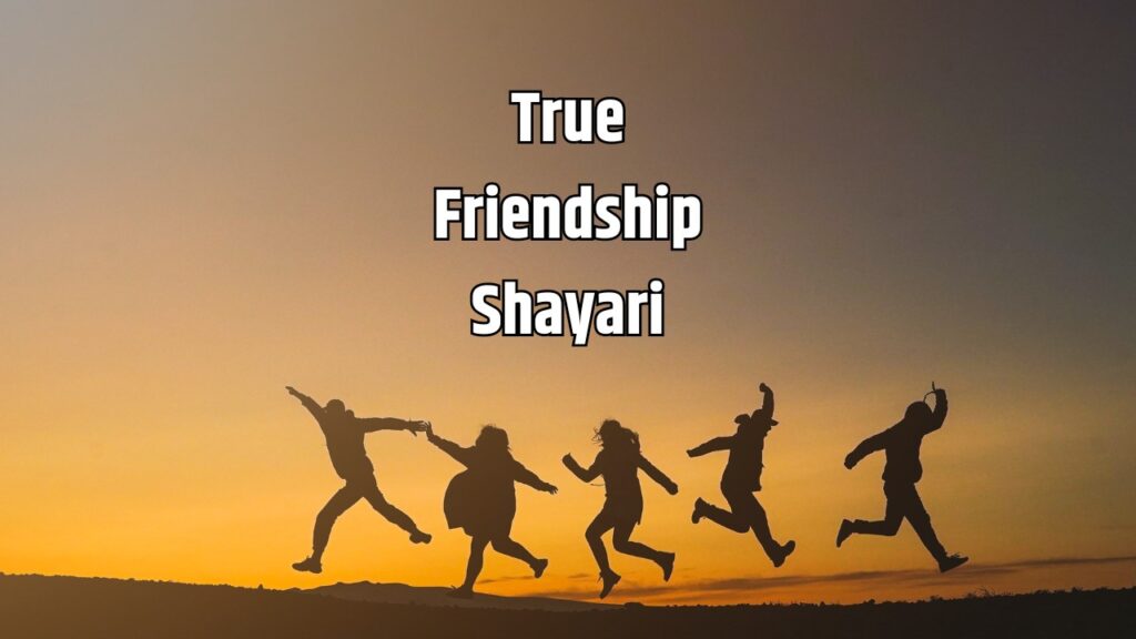 True Friendship Shayari