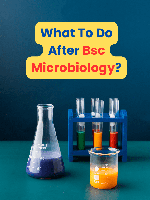 What To Do After Bsc Microbiology?
