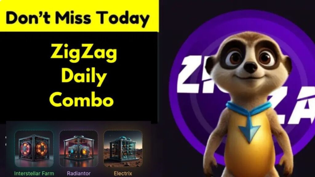 ZigZag Daily Combo