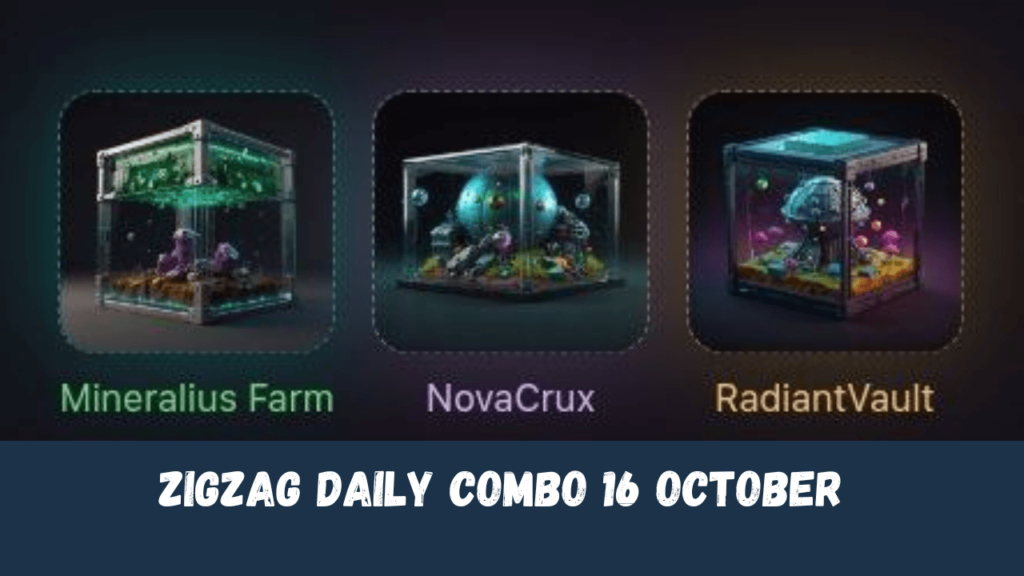 ZigZag Daily Combo 16 October