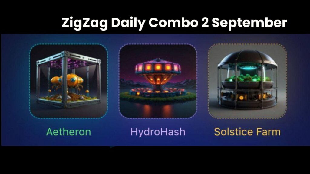 ZigZag Daily Combo 2 September