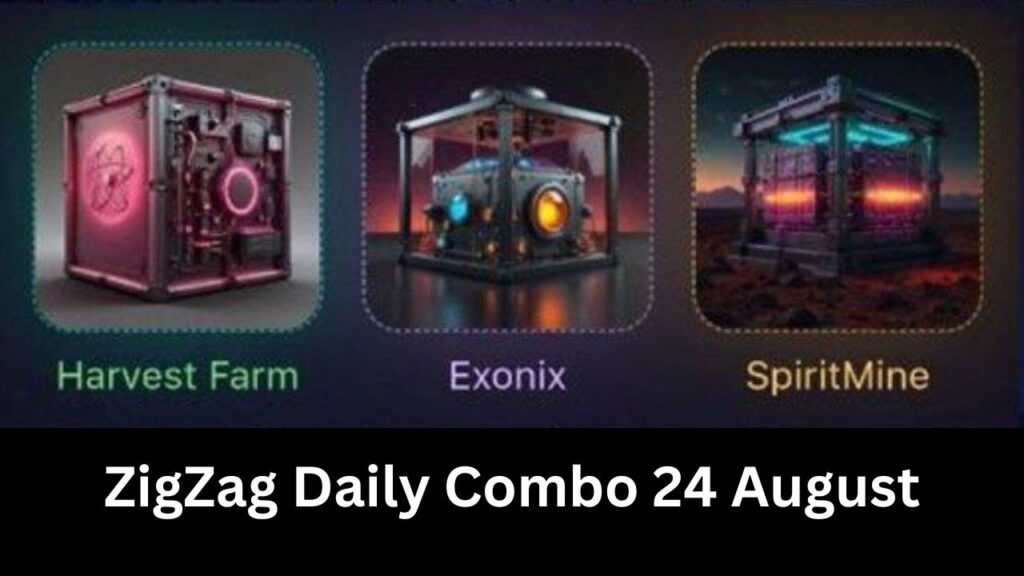 ZigZag Daily Combo 24 August