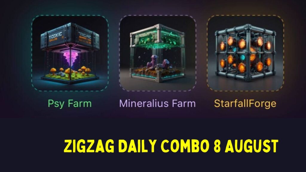 ZigZag Daily Combo 8 August