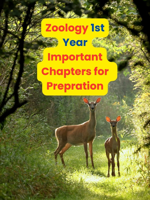 Zoology 1st Year Important Chapters for Prepration