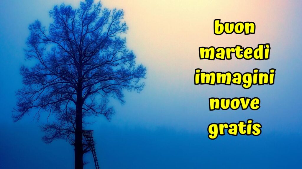 buon martedì immagini nuove gratis
